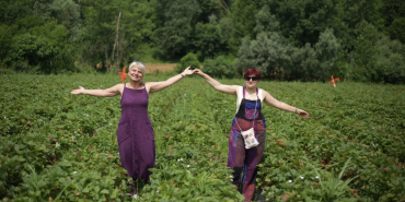 Bartin-Kozcagizda-cilek-senigi1