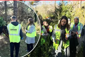 Bartin-Valisi-Nurtac-Arslan-koylu-hanimlarla-ormanda-defne-topladi4