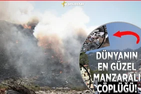 Inkum-tepesindeki-copluk-millet-bahcesine-donusecek