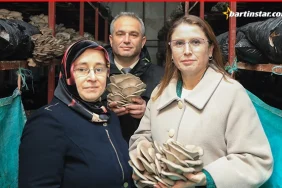 Sukran-Ozdemir-Bartinda-35-ton-mantar-uretiyor