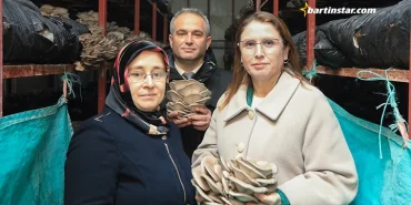 Sukran-Ozdemir-Bartinda-35-ton-mantar-uretiyor