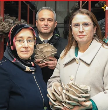 Sukran-Ozdemir-Bartinda-35-ton-mantar-uretiyor