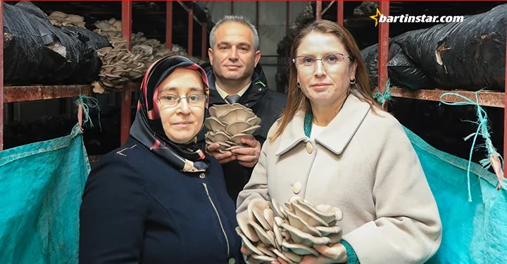 Şükran Hanım bu tesiste 35 ton mantar üretiyor