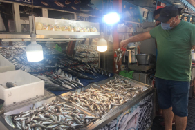 amasra-balikcilar-sezondan-umutlu