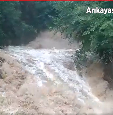 arikayasi-yeniden-costu2