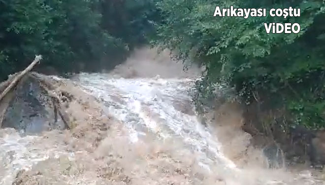 Dikkat! Ormanda yağmur yeniden şiddetlendi, Arıkayası coştu