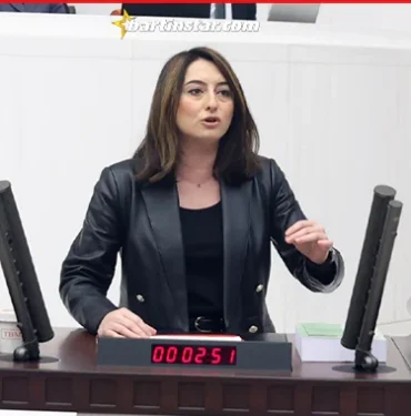 aysu-bankoglu-butce