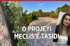 aysu-bankoglu-o-projeyi-meclise-tasidi-1