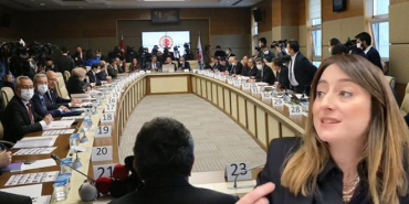 aysu-bankoglu-secim-yasasini-elestirdi