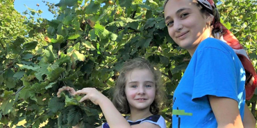 bartin-findik-hasadi