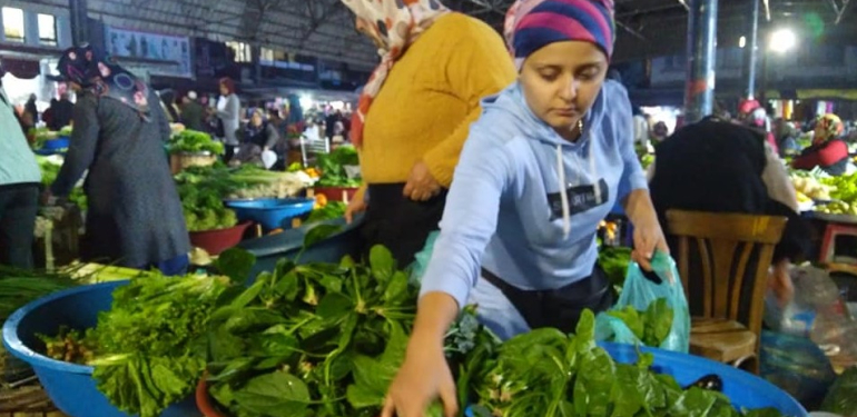 Galla Pazarı’nın gözdesi Bartın ıspanağı