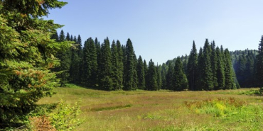 bartin-gezen-yaylasi