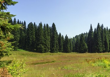 bartin-gezen-yaylasi