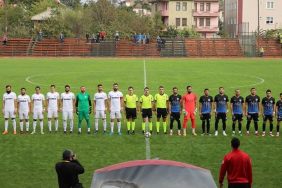 bartin-hendek