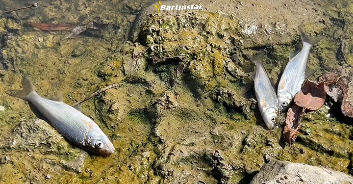 Bu görüntüler Bartın’ı nefessiz bıraktı