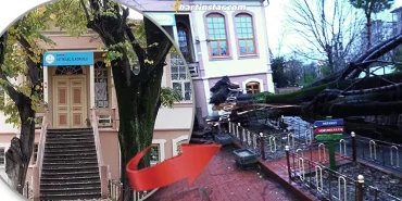 bartin-istiklal-okulu-firtina-ihlamur-yikildi