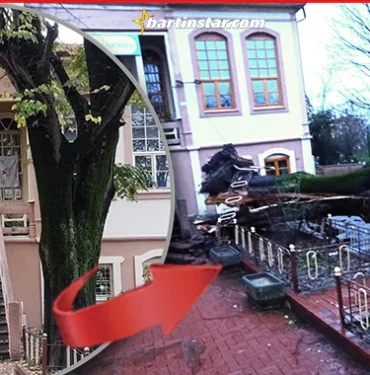 bartin-istiklal-okulu-firtina-ihlamur-yikildi