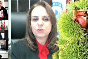 bartin-kestanesi-icin-calistay