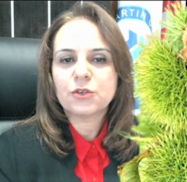 bartin-kestanesi-icin-calistay