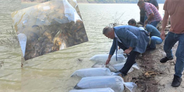 bartin-kirazlikopru-baraji-85-bin-yavru-sazan