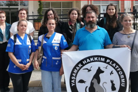 bartin-kopege-tecavuz-davasi-2