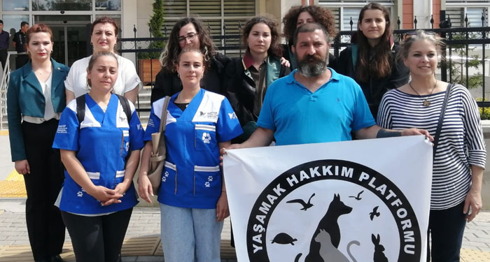 Köpeğe cinsel saldırı davasında karar çıktı!