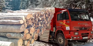 bartin-kumlucadan-deprem-bolgesine-odun