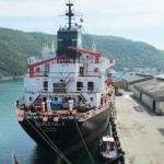 bartin-limani