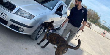 bartin-narkotik-kopegi-sis