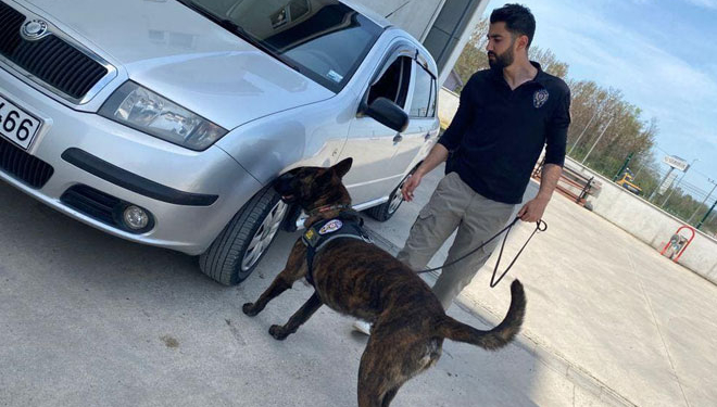 Narkotik köpeği SİS, zehir tacirlerine Bartın’ı dar etti