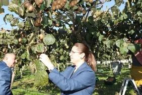 bartin-valisi-nurtac-arslan-kivi-hasadina-katildi