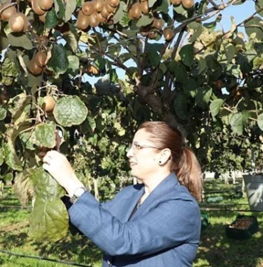 bartin-valisi-nurtac-arslan-kivi-hasadina-katildi