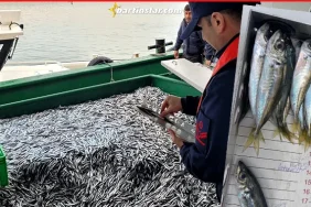 bartinda-kucuk-balik-cezasi