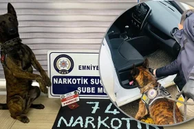 bartinda-narkotik-operasyonu