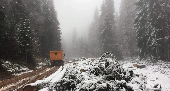 Bartın’da yılın ilk karı! Gezen Yaylası beyaza büründü  