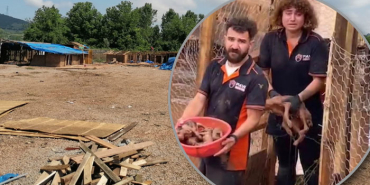 bartindaki-kacak-barinak-yikildi