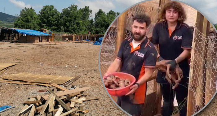 Ve ölüm barınağı yıkıldı! Türkiye’ye gündem olmuştu…