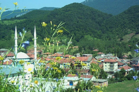 bartinin-en-buyuk-koyleri-Arit