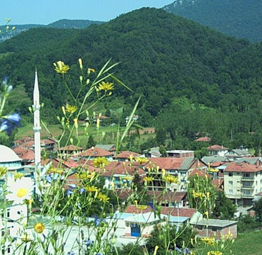 bartinin-en-buyuk-koyleri-Arit