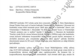 danistay-ormanda-dikili-satisi-durdurdu