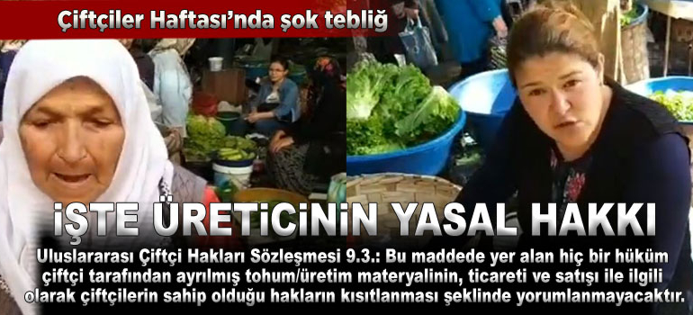 Galla Pazarı’nda fide-tohum satışı yasaklanamaz!