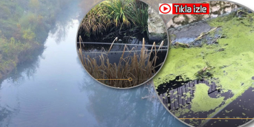 iste-bartin-cayindaki-kirliligin-nedeni1