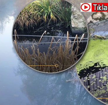 iste-bartin-cayindaki-kirliligin-nedeni1