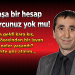 kar-kis-yazisi