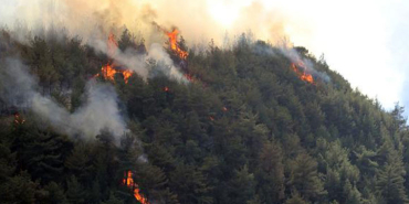 karabukte-orman-yangini