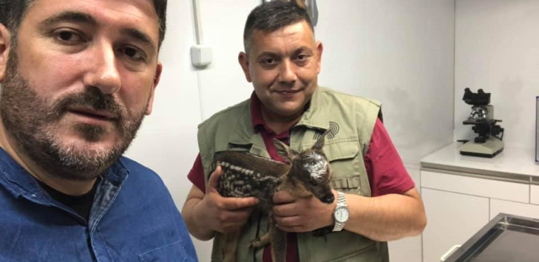 Ulus’ta otomobil çarptı Bartın’da tedavi edildi