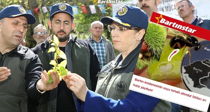 Bartınstar 1 yıl önce uyarmıştı! Valilik harekete geçti