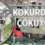 kokurdan-cokuyor