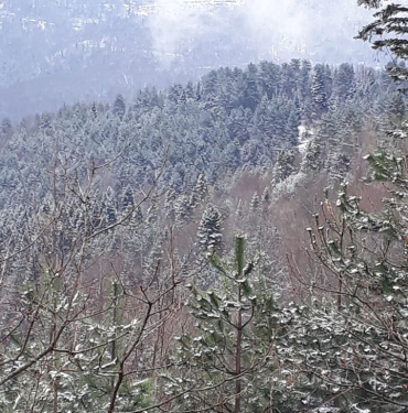 kumluca-ulukoyde-kar-basladi