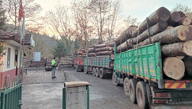 Kumluca’nın Zafer köyüne son darbe! Orman deposu kapatılıyor